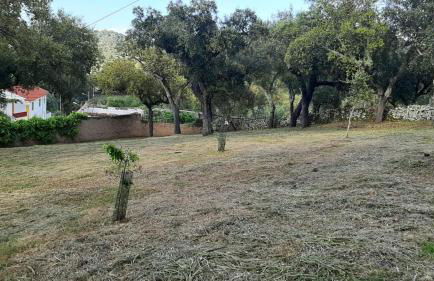 Casa do Pássaro - Photo 67