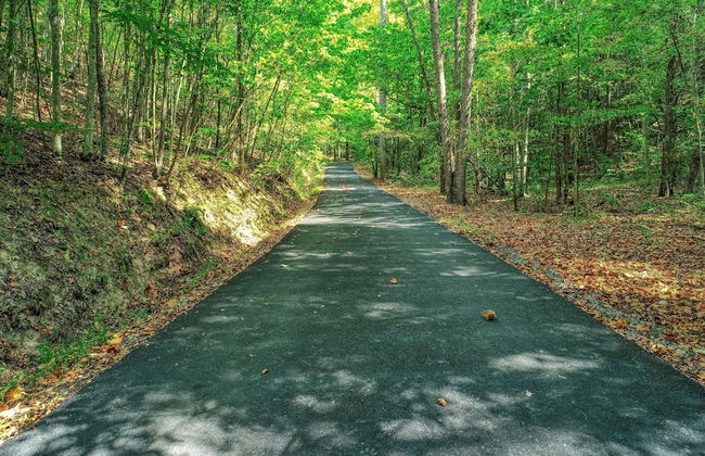 Mountain View - 2 Bedrooms, 2 Baths, Sleeps 6 Cabin by RedAwning - Foto 24