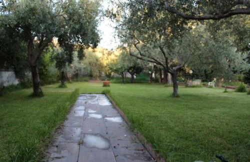 La Casa Dell'antiquario - Foto 5