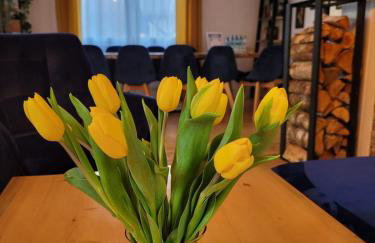 Siedlisko Bieszkowice - Foto 37