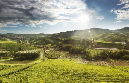 Cascina Pugnane - Foto 50