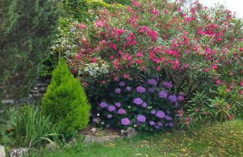 Gîte 2 "Le Tilia " aux magnolias 3 étoiles - Foto 33