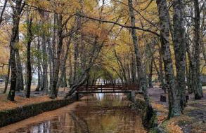 Casa de Férias - Foto 40