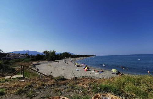 Superbe appartement vue mer terrasse couverte face à la mer - Foto 24