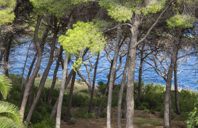 Allegroitalia Elba Capo d'Arco - Foto 46