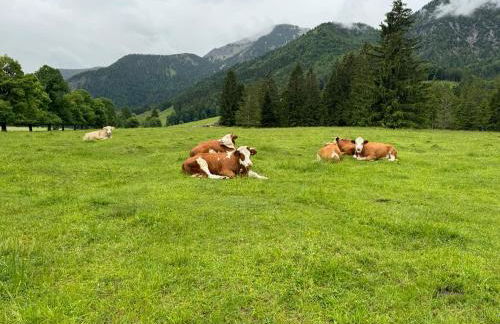 Panorama Chalet - Foto 31