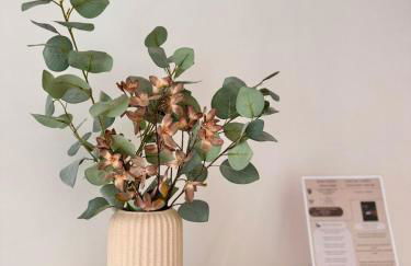 Casa de Campo - Country House - Esposende - Foto 23