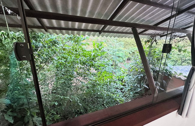 Quintal do Contêiner - Photo 33