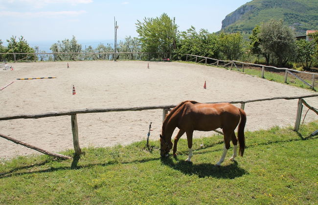 Agriturismo Piccolo Paradiso - Foto 40