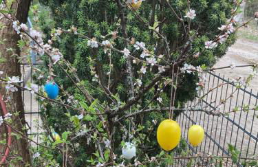 Waldtraum Wandlitzsee - Foto 41