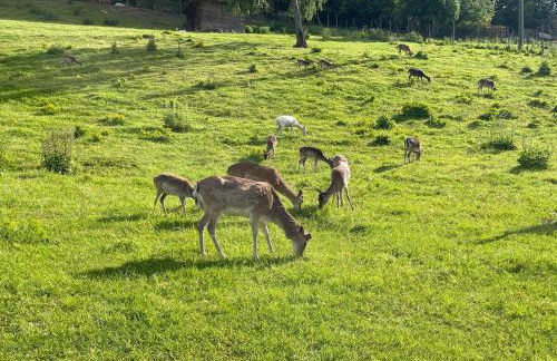 Mosel Lounge Pool Table Football Table Garden Terrace - Foto 76