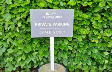 Fern's Lodge 29 Tower Country Chalet Park - Photo 12