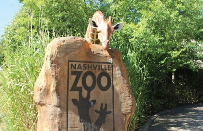 116 The Music Valley House - Foto 42