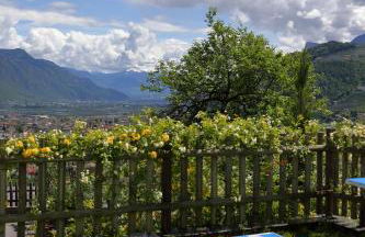 Glögglhof - Foto 10