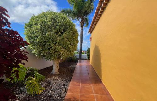 Las Papayeras - Foto 17