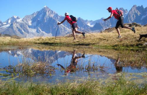 Les Edelweiss Mont-Blanc - Gîte Classé 3 Etoiles - Photo 37