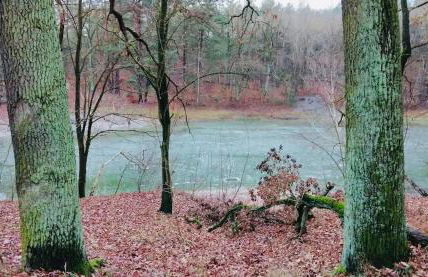 Stallgeflüster Lodge - Foto 30