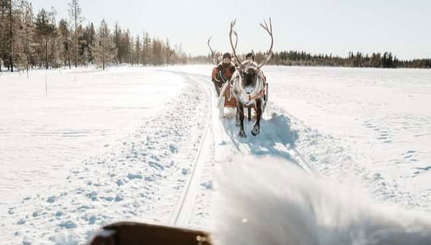 Reindeer Sleigh Ride - Foto 2