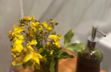 Casa verde - Photo 13