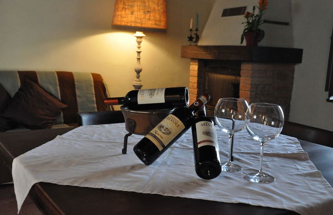 Castello di Selvole-Adults Only - Foto 22