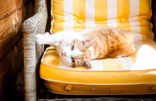 Ferienwohnung am Hirschenmoor - Photo 30