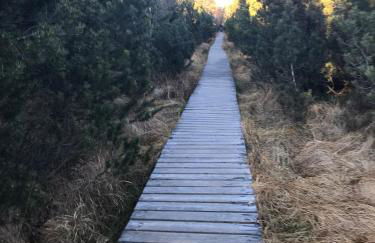 Bezauberndes Gästehaus im Grünen mit Terrasse - Foto 11
