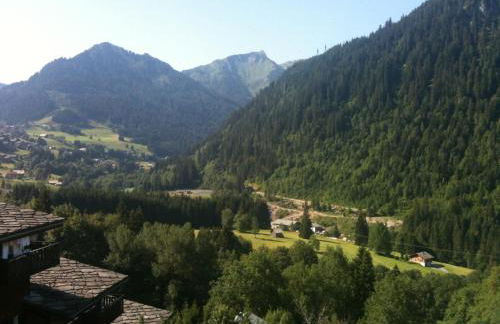 Chalet Loupnots 2P avec vue - Foto 27