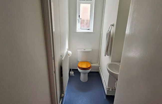 Plas Bellin Cottages - Foto 33