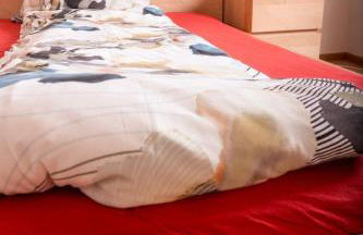 Erholung am Ginkgobaum - Foto 6