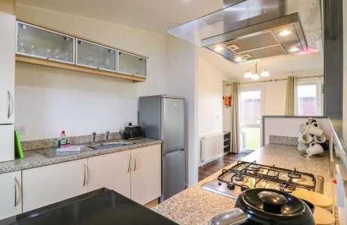 Kingfisher - Foto 10