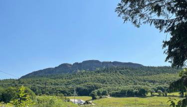 Milltown Cottage - Foto 5, Garden view