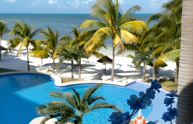 Beachfront and Ocean View Apartment - Photo 20