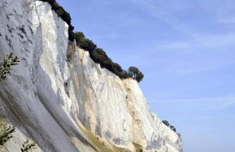 Ostsee-Ferienhaus im Grünen - Foto 22