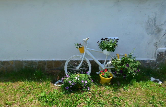 Villa Valley of Roses - Photo 12