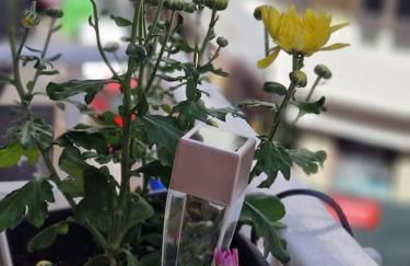 Enjoy Carnanal with extreme confort 4p - Foto 59