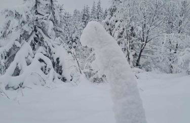 Chatka pod Lubaniem - Photo 44