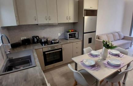 EVDOKIAS Apt,brand new 2025 modern Apt in the center of Alikanas - Foto 9