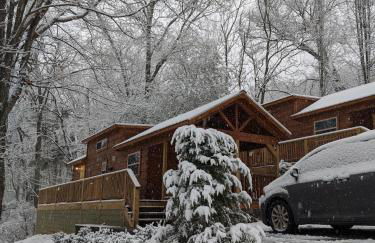 Sophie Cabin National Forest Tiny Cabin - Foto 16