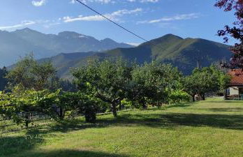 Casa Matapalacios - Foto 14