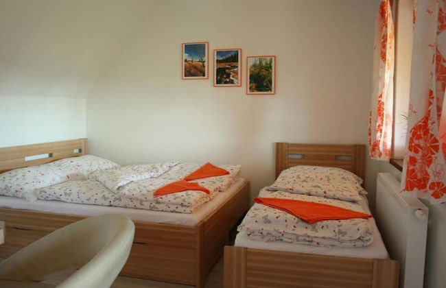 PENZION POD PALAVU - Photo 4