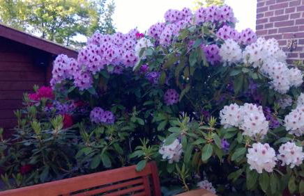 Ferienhaus Nadja - Foto 39