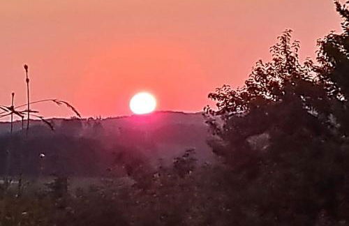 Ferienwohnung und Monteurwohnung Matthies Nähe Köln 30km - Foto 6