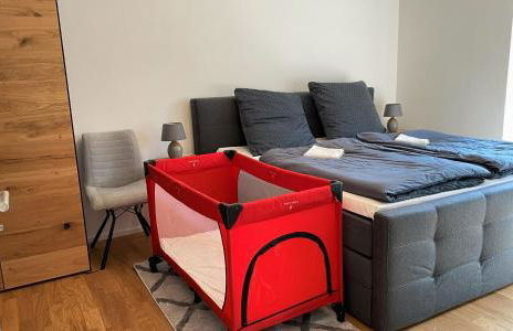 Wiesenquell Apartment Feldberg - Foto 34