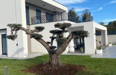 Villa BB Rapsody 10 with heated salt water pool - Foto 2