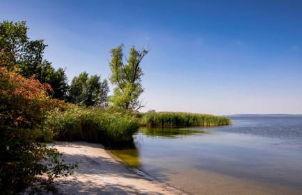 Lerchenhof in Reestow - Foto 53