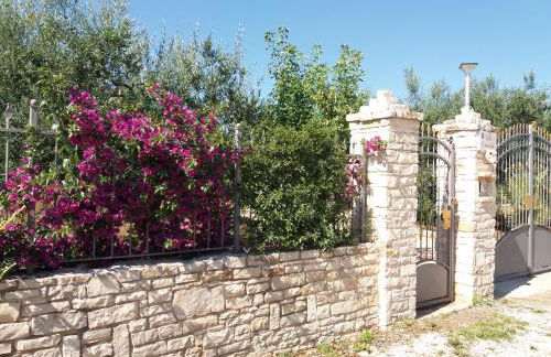 Villa Calendula - Foto 48