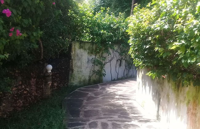 Johari Villas - Foto 24