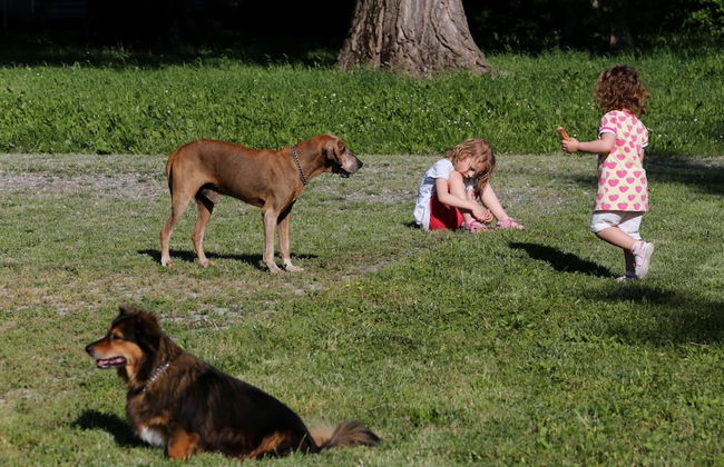 Locanda Antico Fighèr - Foto 38