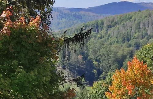 FeWo Harzer Weitblick, bis 2 Hunde Willkommen, W-Lan, 2x Smart TV, DTV 4 Sterne, 4 Pfoten - Foto 36