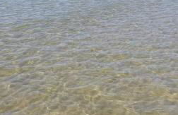 Perla Di Mare - Foto 16